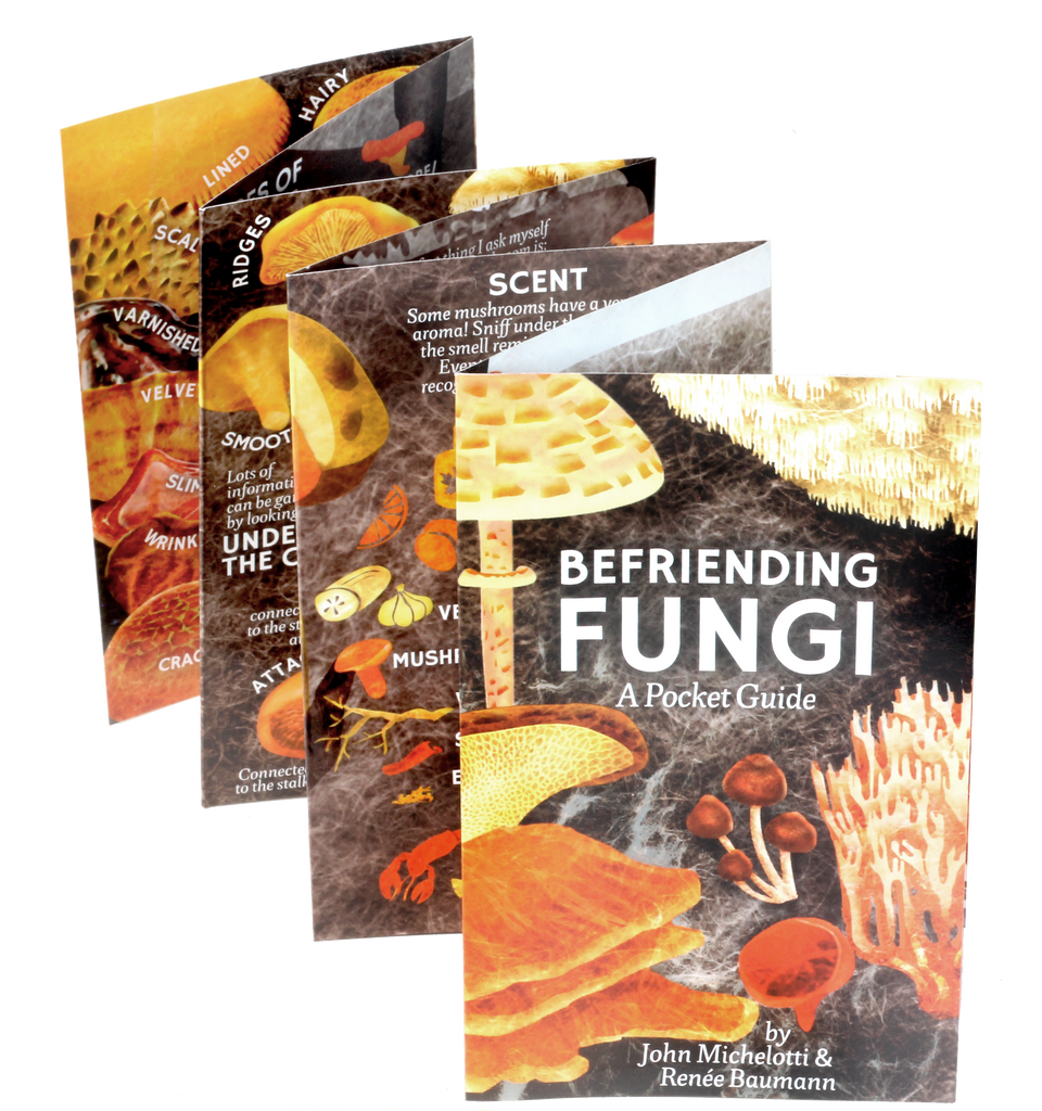 Professional photo of Befriending Fungi: A Pocket Guide by John Michelotti and Renee Baumann. This accordion folded guide is opened up for viewer to see the amazing ways they can be Befriending Fungi. Want to get into mushroom hunting?