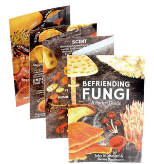 Professional photo of Befriending Fungi: A Pocket Guide by John Michelotti and Renee Baumann. This accordion folded guide is opened up for viewer to see the amazing ways they can be Befriending Fungi. Want to get into mushroom hunting?