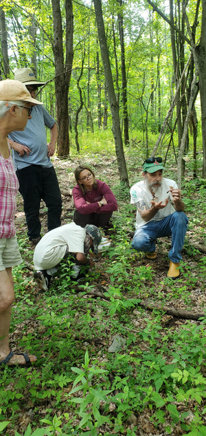 Erwin Karl kneels down in the forest as a few people look at what he is holding: a mushroom! He explains what the fungi is that they found in the Catskill Mountains of New York. 