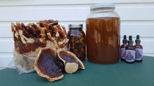Medicinal Mushrooms in the Kitchen and Medicine Cabinet: Tasting and Tincture Making Workshop