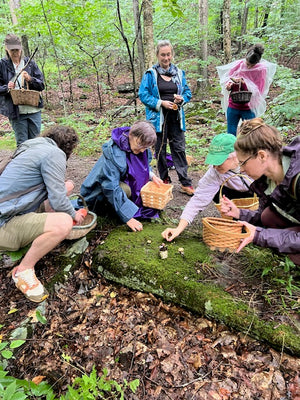 People in the Catskill Mountains forest in upstate NY place mushrooms from their baskets onto a mossy stone to create an altar. 