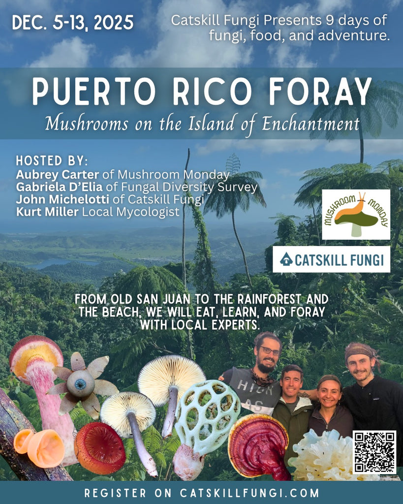 Promotional flier reads: Puerto Rico Foray Mushrooms on the Island of Enchantment Catskill Fungi Presents 9 days of fungi, food, and adventure. December 5-13 2025. hosted by: Aubrey Carter of Mushroom Monday, Gabriela D'Elia of Fungal Diversity Survey, John Michelotti of Catskill fungi, Kurt Miller Local PR Mycologist. From Old San Juan to the Rainforest and the beach, we will eat, learn, and foray with local experts. Register on CatskillFungi.com." Picture of PR rainforest lake and ocean & Mushrooms! 