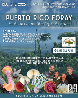 Promotional flier reads: Puerto Rico Foray Mushrooms on the Island of Enchantment Catskill Fungi Presents 9 days of fungi, food, and adventure. December 5-13 2025. hosted by: Aubrey Carter of Mushroom Monday, Gabriela D'Elia of Fungal Diversity Survey, John Michelotti of Catskill fungi, Kurt Miller Local PR Mycologist. From Old San Juan to the Rainforest and the beach, we will eat, learn, and foray with local experts. Register on CatskillFungi.com." Picture of PR rainforest lake and ocean & Mushrooms! 