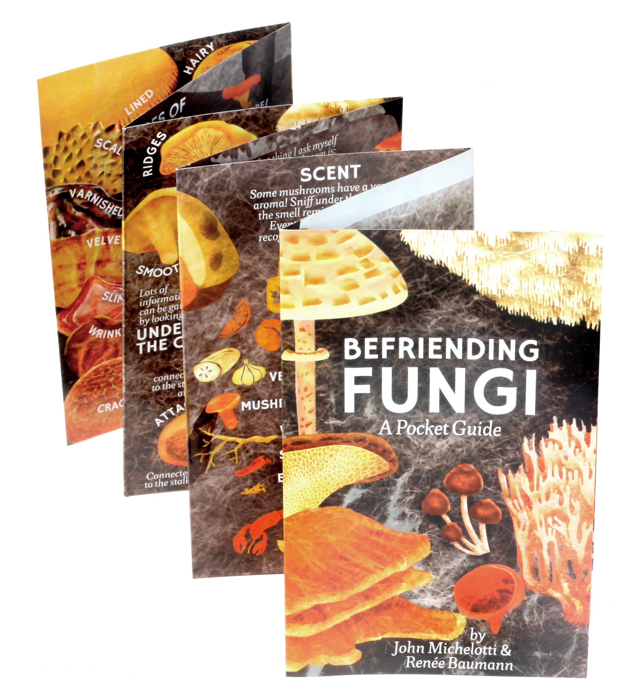 Products – Catskill Fungi