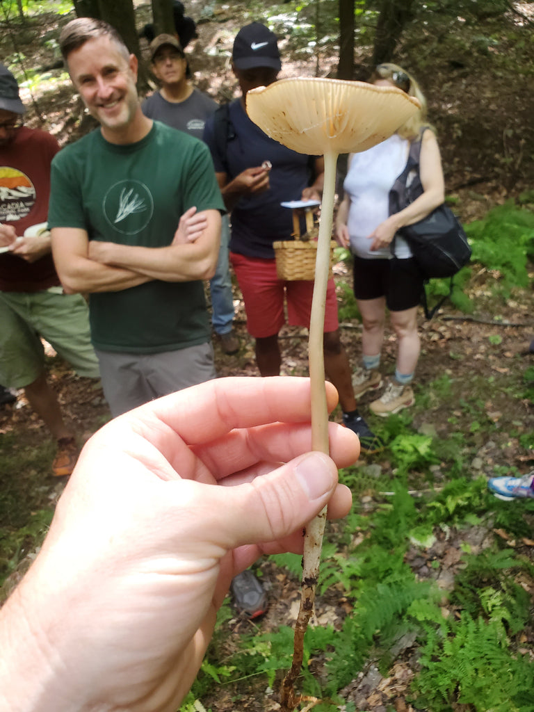 August 2nd Mushroom Identification Walk