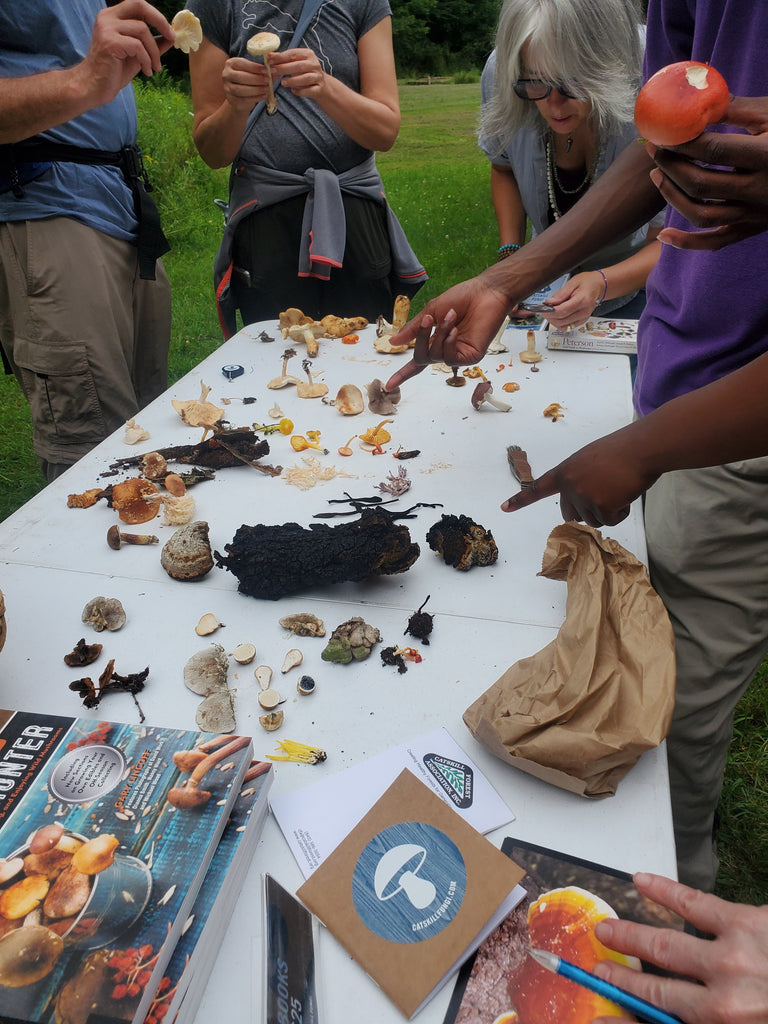 September 28 Morning Mushroom Walk