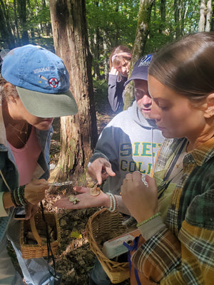 A girl holding her hand out to show three on lookers mushrooms. They're standing in a forest in the Catskills and one is holding a handlense to look at the fungi while another person points at the mushroom.