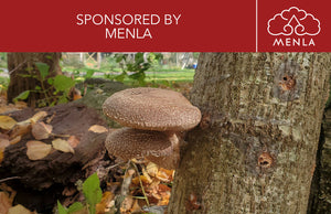 Shiitake Mushroom Log at Menla Mountain Resort With header of Menla Mountain House logo.