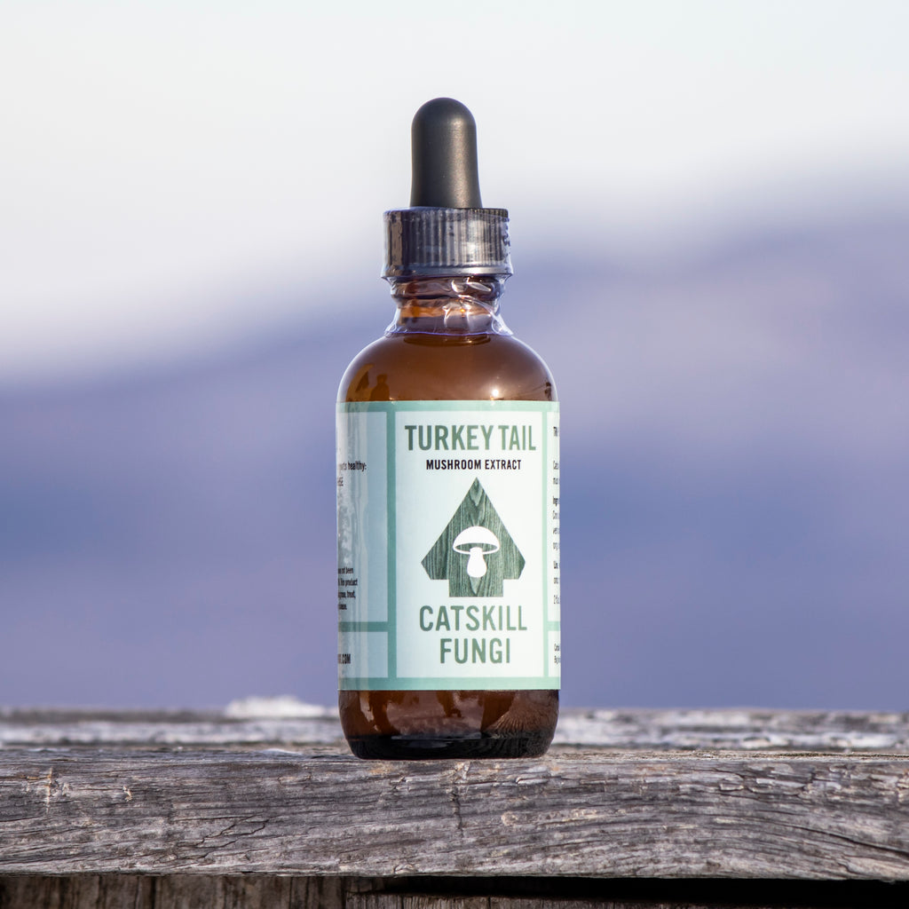 Bottle of Catskill Fungi Turkey Tail Mushroom extract with Catskill Mountains in the background.
