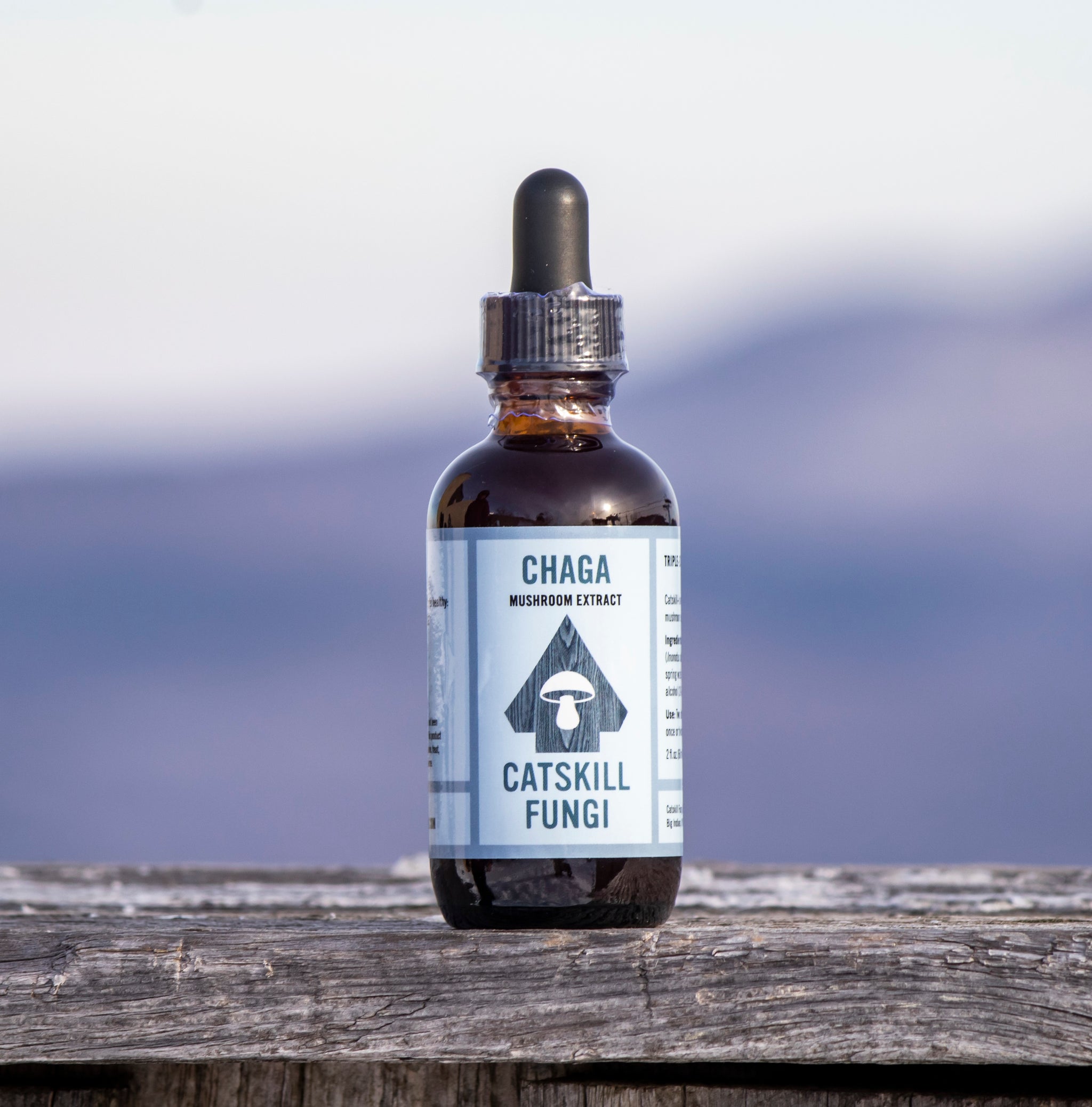 ufmウエダ× Catskill Research Inc. カンタータ2400 CRI (Catskill Research Incorporated) Model 2400 fly reel - Spinoza